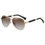 Brown Lens/Gold Frame