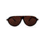 Tortoise Frame/Brown Lens