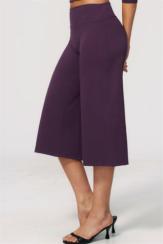 The Natalia Half-Sleeve Top Wide-Leg Crop 2-Piece Set