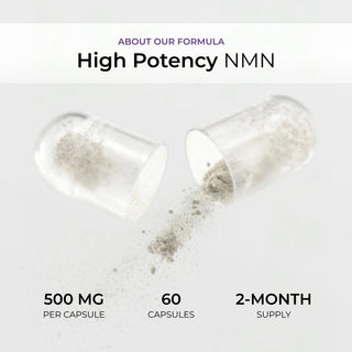 NMN Capsules 500MG