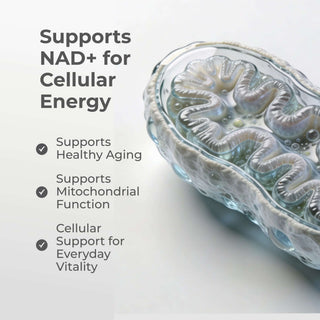 Liposomal NMN Capsules