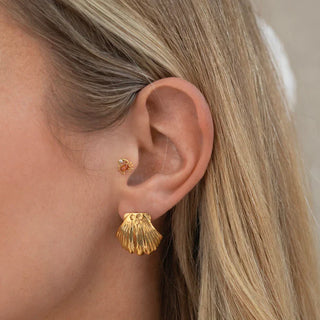 Big Scallop Stud Earrings