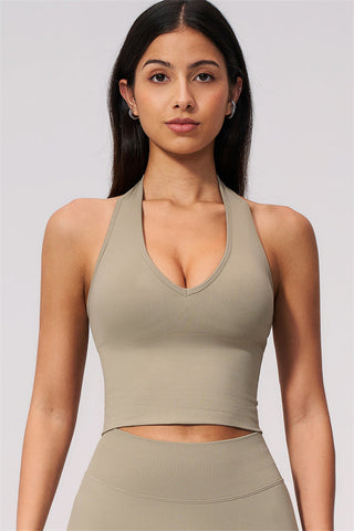 The New Delight Halter Top
