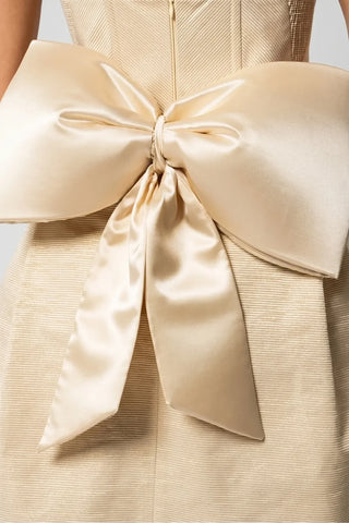 Beige Short Corset Dress, Melisa