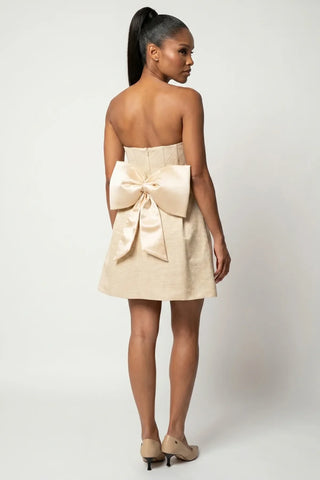 Beige Short Corset Dress, Melisa