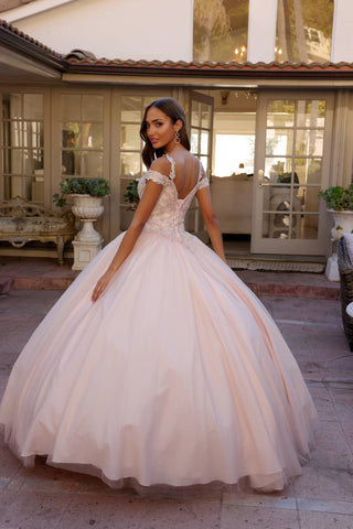 Juliet 1430 Dress Quinceanera Ball Gown Embroidered Applique Glitter Tulle