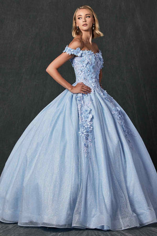 Juliet 1433 Dress Quinceanera Ball Gown 3D Floral Embroidered