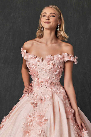 Juliet 1433 Dress Quinceanera Ball Gown 3D Floral Embroidered