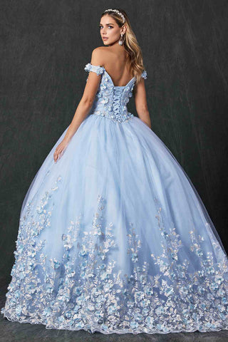 Juliet 1434 Dress Quinceanera Ball Gown 3D Floral Embroidered