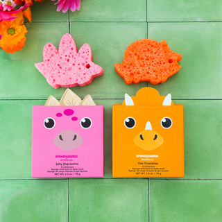 Sally Stegosaurus & Tina Triceratops Dinosaur Set - Glamourous Grace