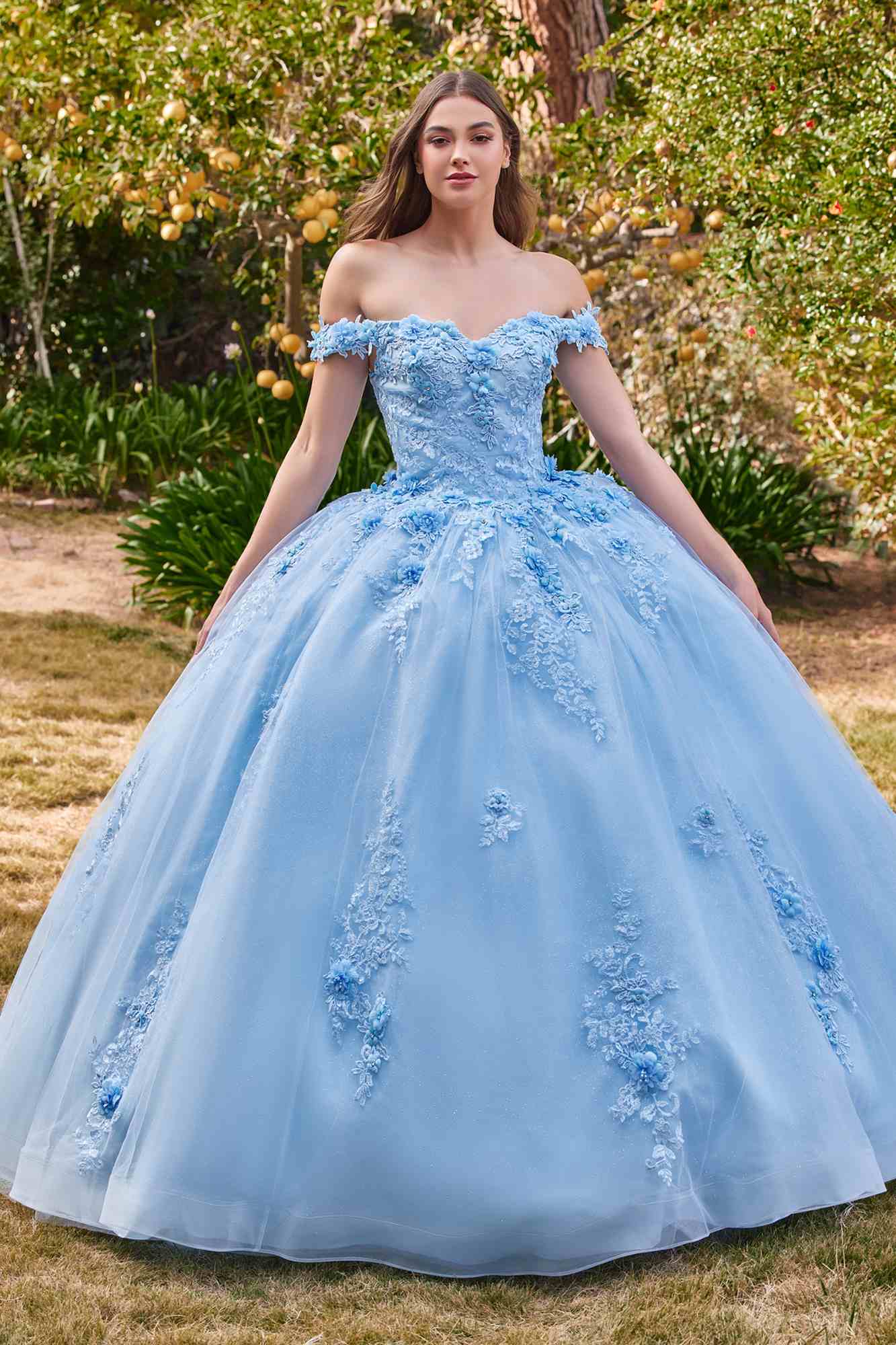 Ladivine 15702 Floral Off the Shoulder Floral Quince Ball Gown - Glamourous Grace