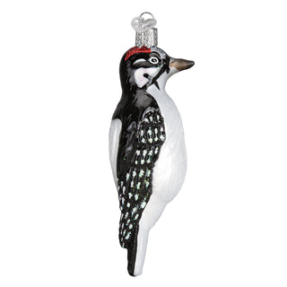 Hanging Hairy Woodpecker