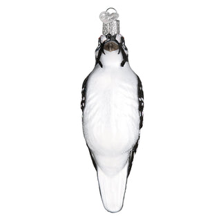 Hanging Hairy Woodpecker