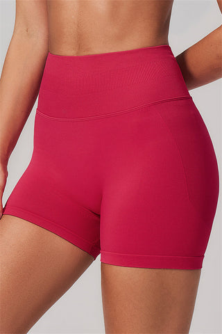 The Align Sports Bra Shorts 2-Piece Set