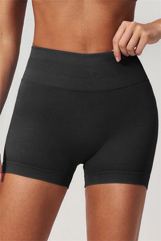 The Horizon Sports Bra Shorts 2-Piece Set