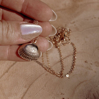 Jennie Shell Necklace