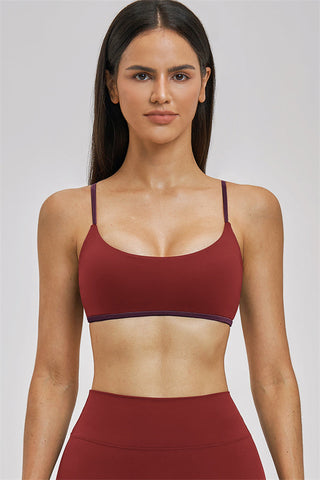 The New Seraphine Sports Bra