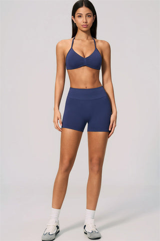 The Velvetine Sports Bra Shorts 2-Piece Set