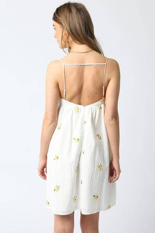 Sarah Floral Mini Dress - Glamourous Grace