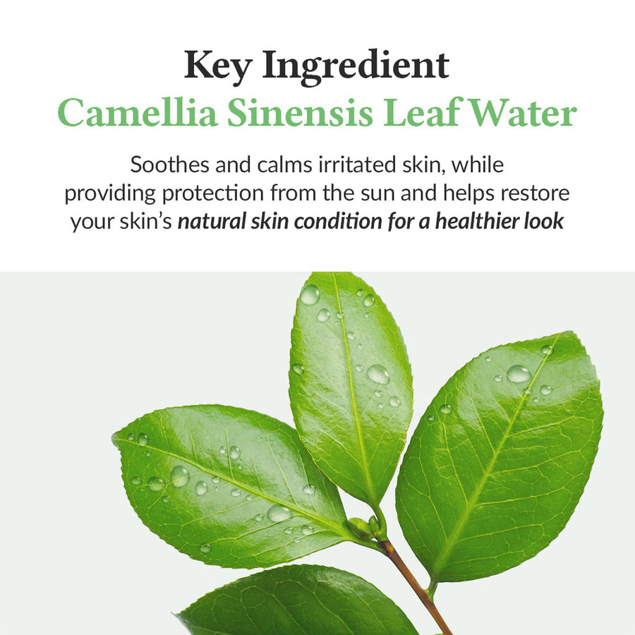 Dr. Althea Green Tea Fresh Sunscreen SPF50+ PA++++ - Glamourous Grace