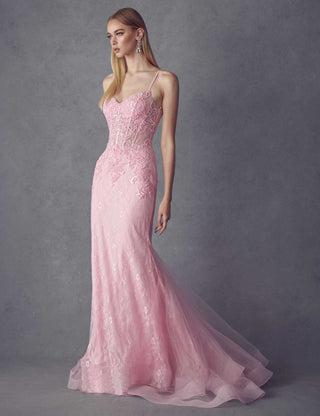 Juliet 250 Embellished Lace Mermaid Dress