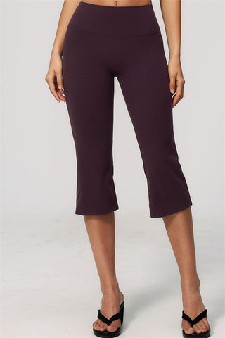 The Zura Sports Bra Capri Leggings 2-Piece Set