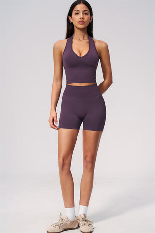 The New Delight Halter Top