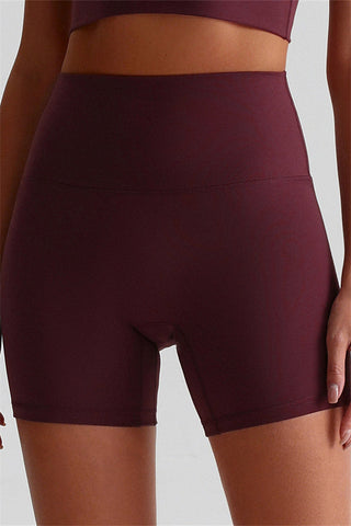 The Brave Sports Bra Shorts 2-Piece Set