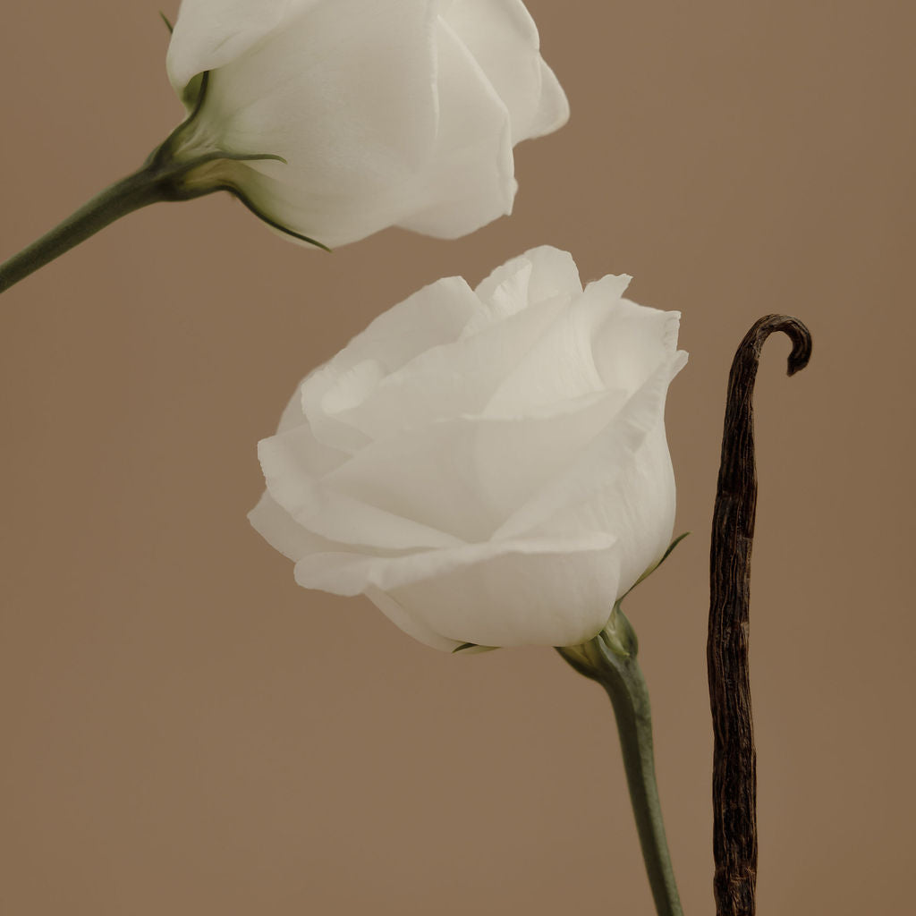AURA Perfume - Glamourous Grace