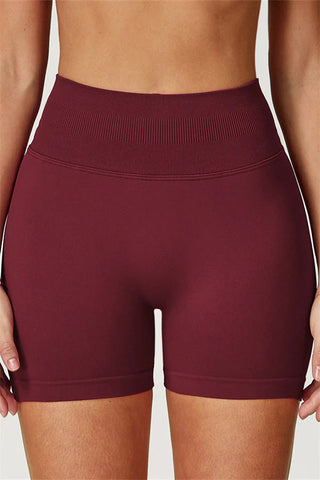 The Elara Sports Bra Shorts 2-Piece Set