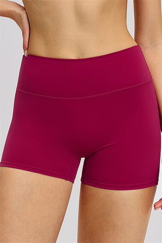 The Zestful Sports Bra Shorts 2-Piece Set