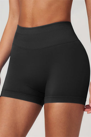 The Horizon Sports Bra Shorts 2-Piece Set