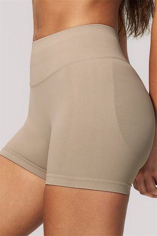 The Velvetine Sports Bra Shorts 2-Piece Set