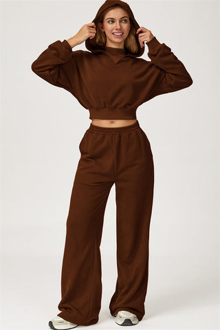 The Axis Crop Hoodie
