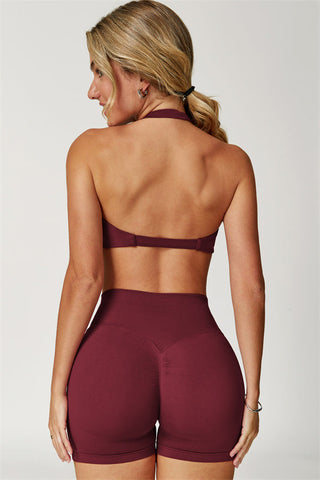 The Elara Sports Bra Shorts 2-Piece Set