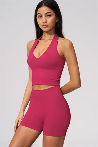 The New Delight Halter Top