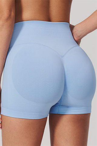 The Horizon Crop Top Shorts 2-Piece Set