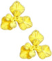 Citron