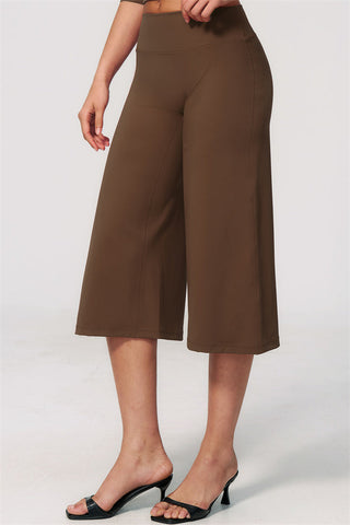 The Natalia Half-Sleeve Top Wide-Leg Crop 2-Piece Set