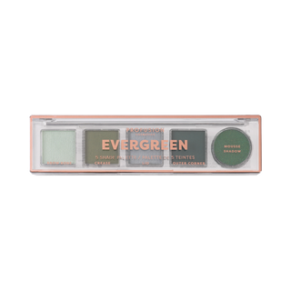 Mini Essentials 5 Shade Palette