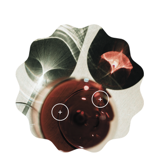 mulled wine