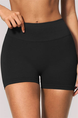 The Velvetine Sports Bra Shorts 2-Piece Set
