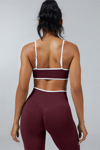The Elevate Sports Bra Leggings 2-Piece Set