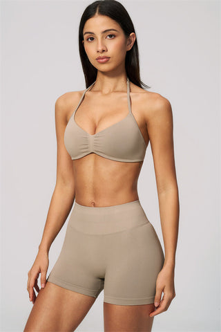 The Velvetine Sports Bra Shorts 2-Piece Set