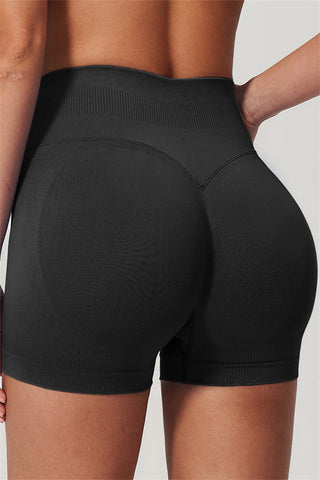 The Horizon Sports Bra Shorts 2-Piece Set