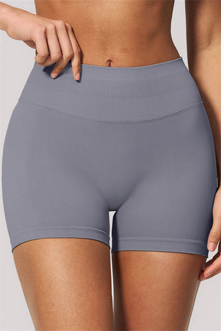 The Velvetine Sports Bra Shorts 2-Piece Set