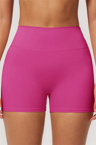 The Nexus Sports Bra Shorts 2-Piece Set