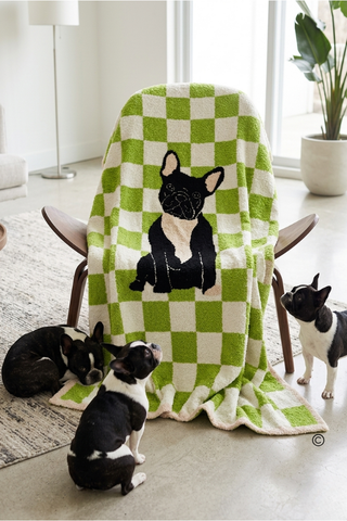 SC - Walter Wiggles Check Blanket© - Glamourous Grace