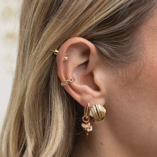 Scallop Hoop Earrings Set