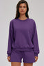 Plum Purple